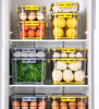 Refrigerator Food Storage Container