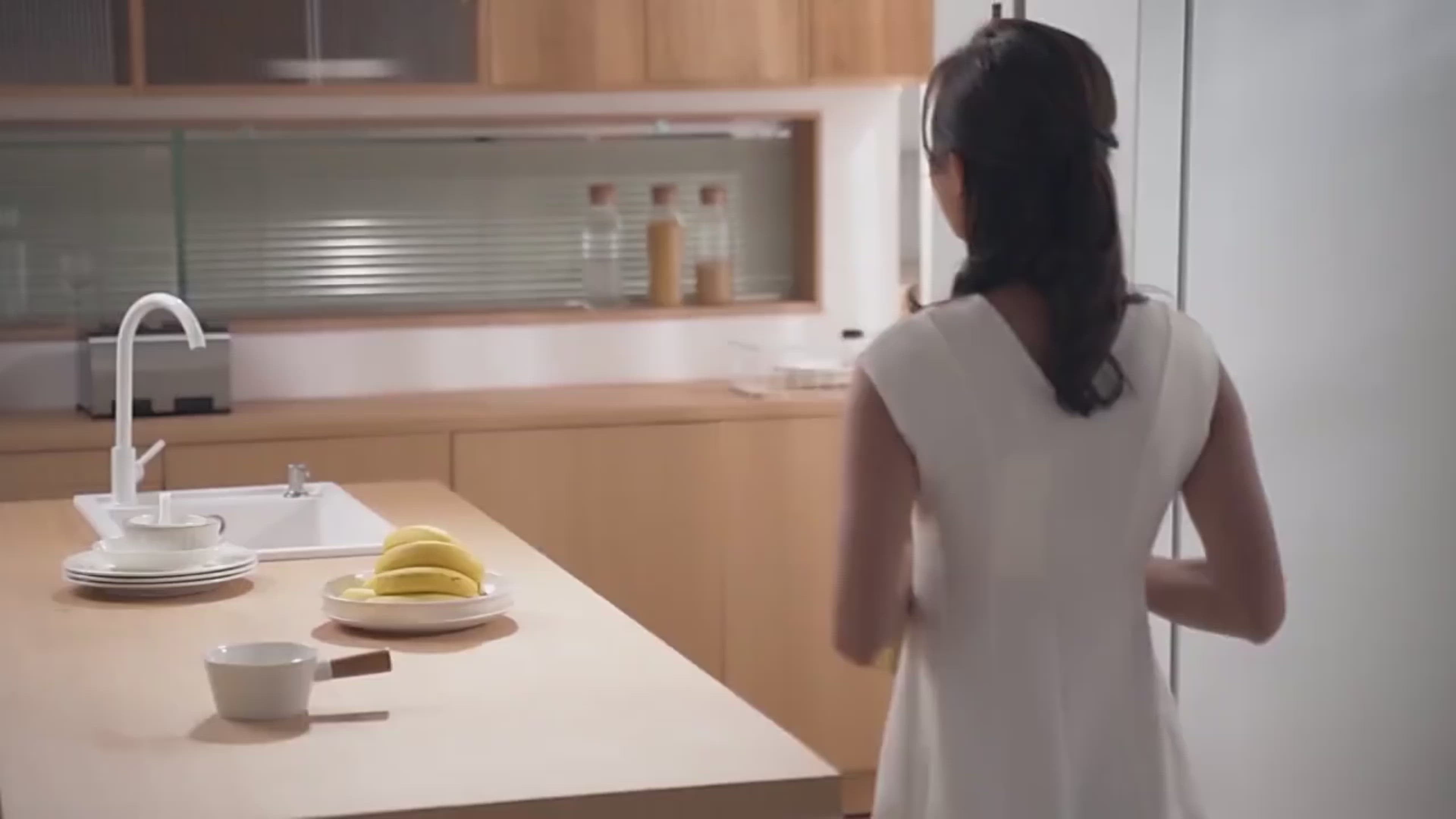 Refrigerator Deodorizing Machine