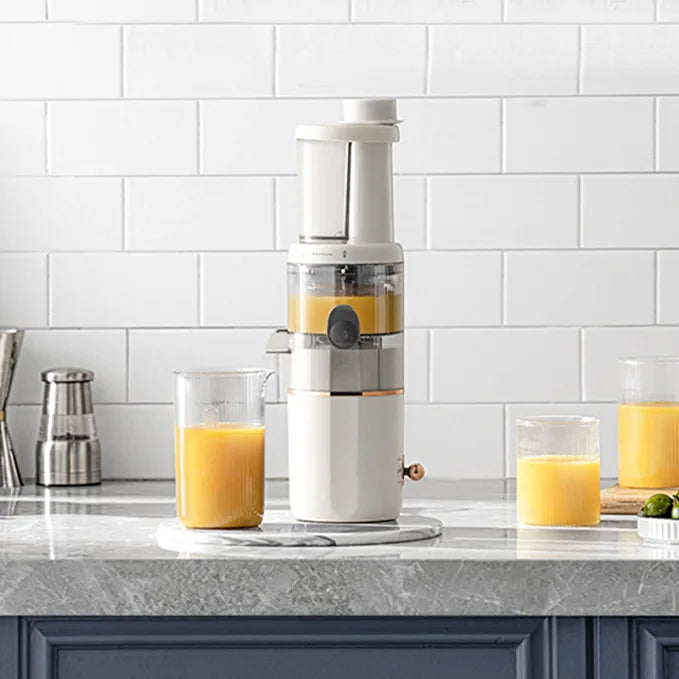 Slag Juice Separation Juice Machine