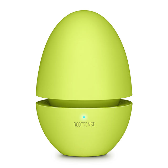 Refrigerator Deodorizer Egg