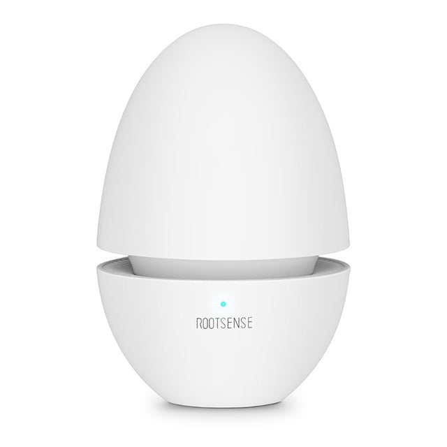 Refrigerator Deodorizer Egg
