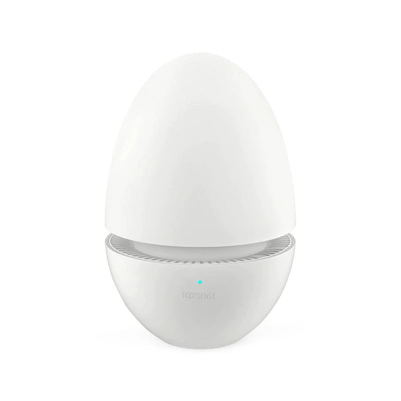 Refrigerator Deodorizer Egg