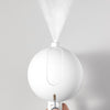 Dual Purpose Oil Sprayer Pouring Bottle