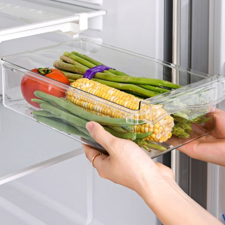 Fridge Organizer Slide Under Shelf Drawer