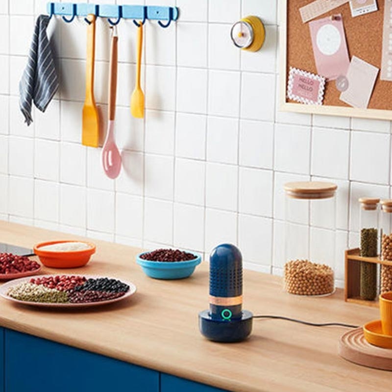 USB Rechargeable Wireless Food Purifier