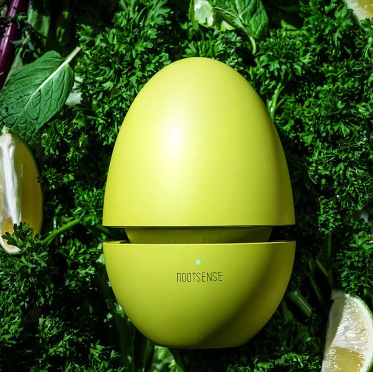 Refrigerator Deodorizer Egg
