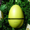Refrigerator Deodorizer Egg